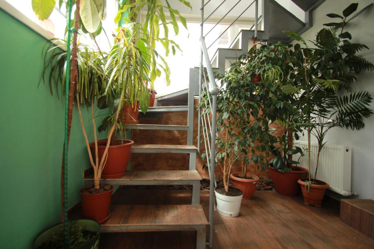 Garden Eco Design Hotel Odessa Exterior photo